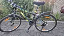 Rower Alpina Protec M20 26cali