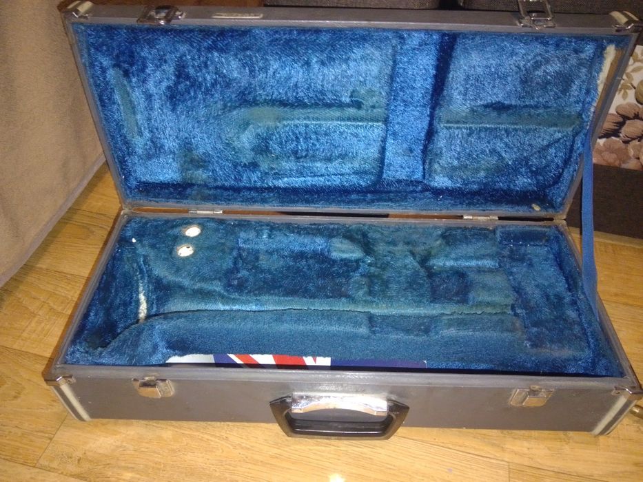 Музикальна труба