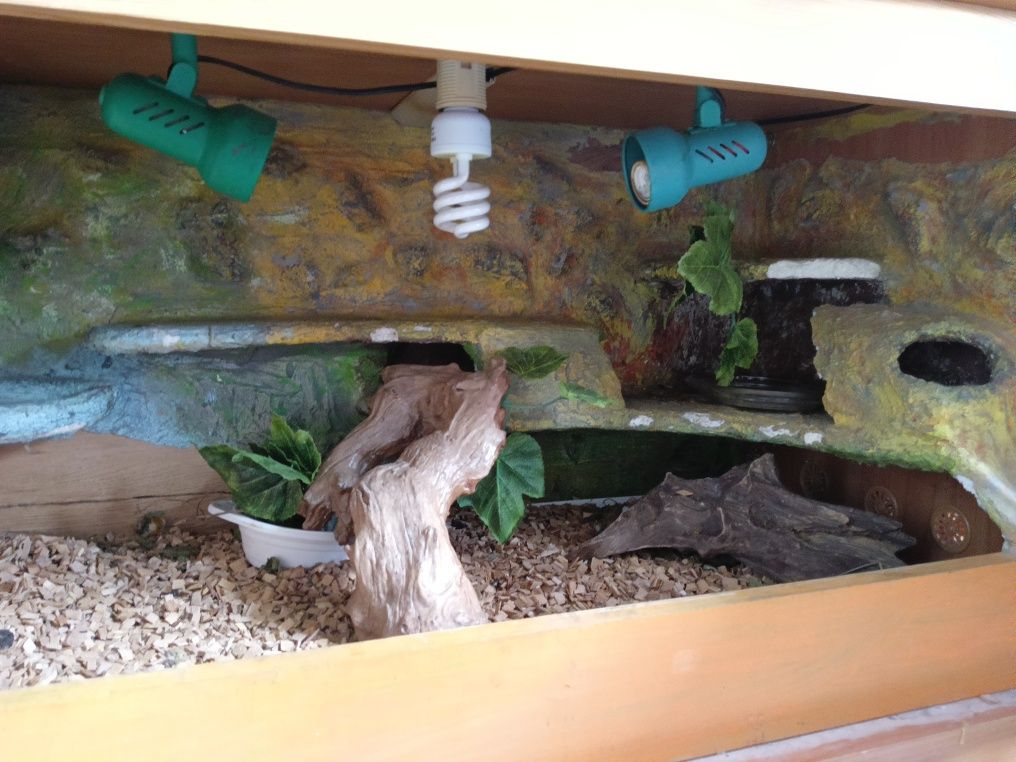Terarium dla agamy itp