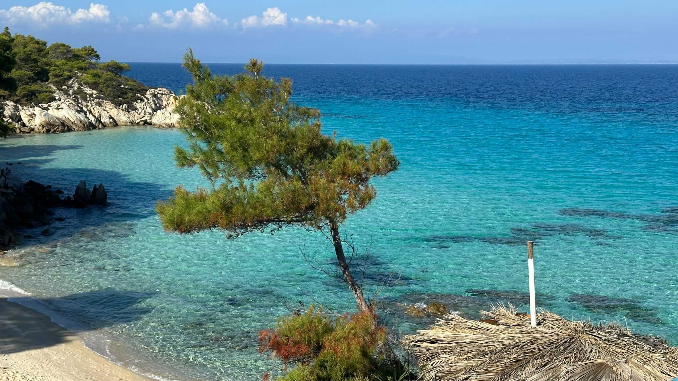 GRECJA -Chalkidiki - SARTI, wyżywienie 2x dziennie, hotel blisko plaży
