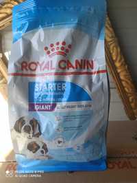 Royal Canin Giant Starter 8kg opakowania po 1kg