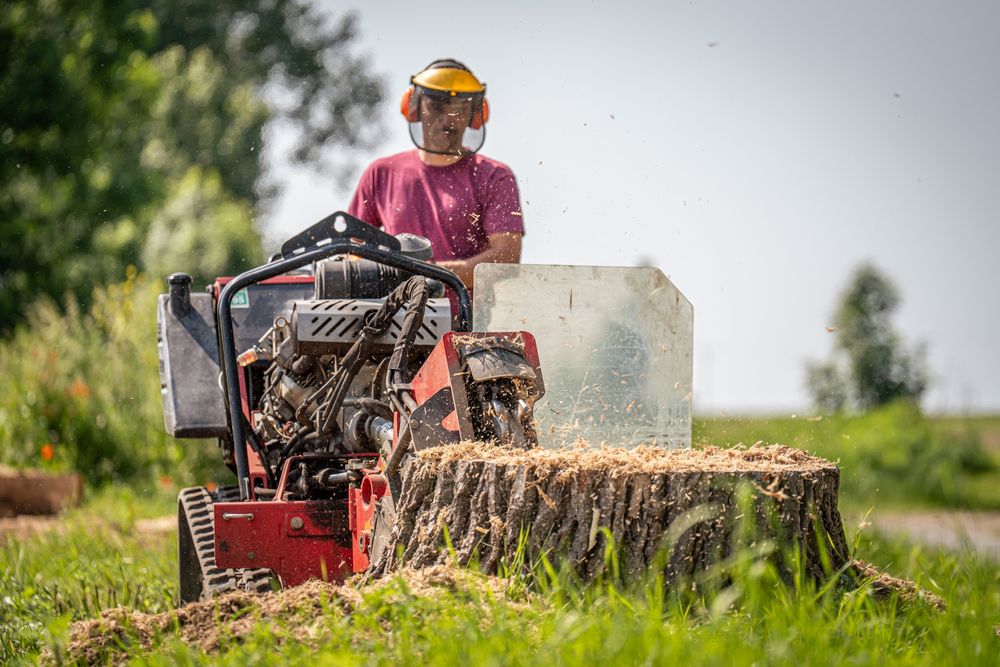 Frezowanie pni, usuwanie korzeni