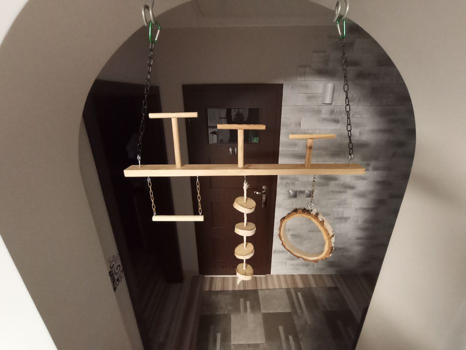 Plac zabaw dla papug