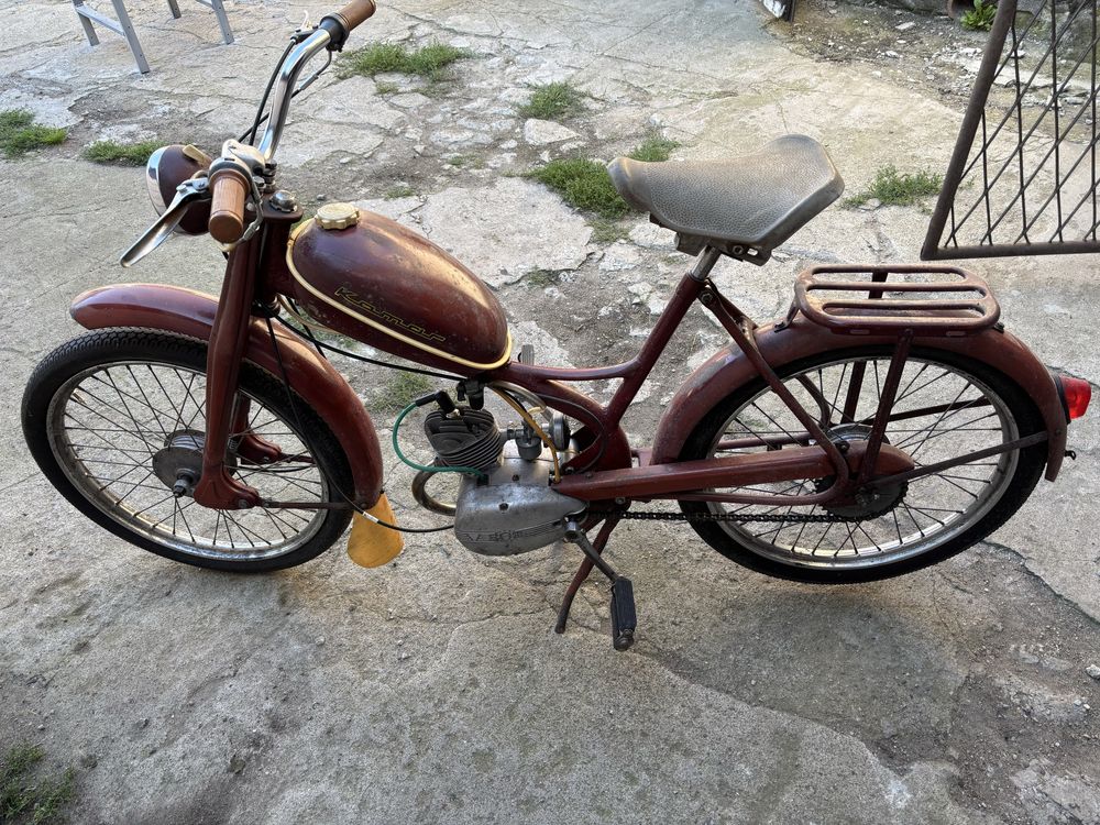 Komar 231 w oryginale