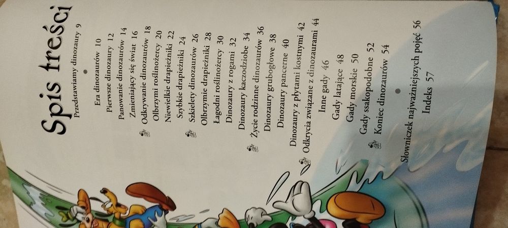 Encyklopedia wiedzy dinozaury , książka dla dzieci
