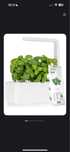 Розумний квітковий горщик Click&Grow 3 (White) 7205 SG3