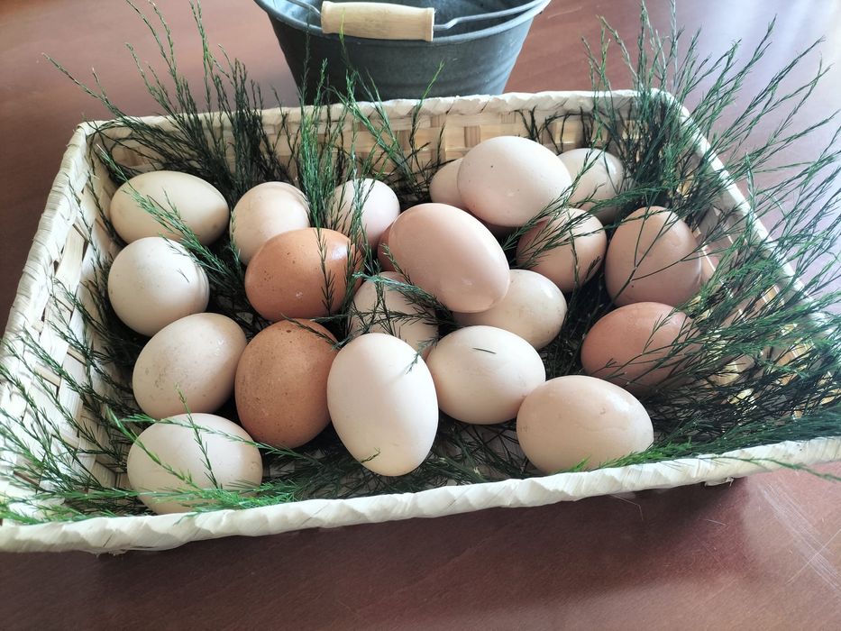 Caseiros dúzia 2,50€