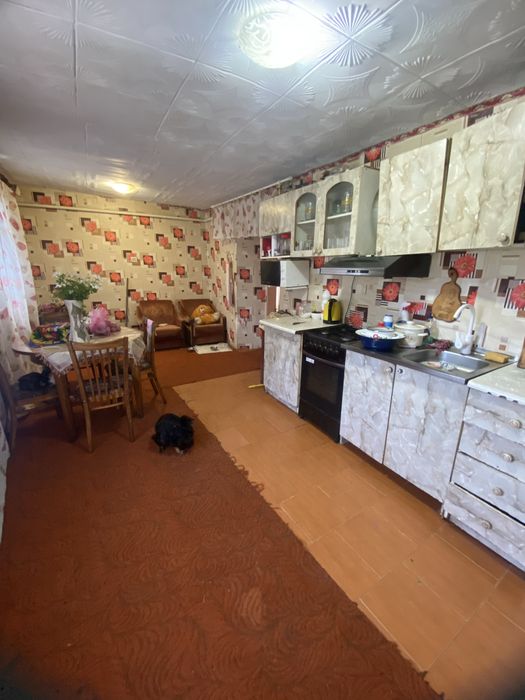 Пролам копитальеый дом