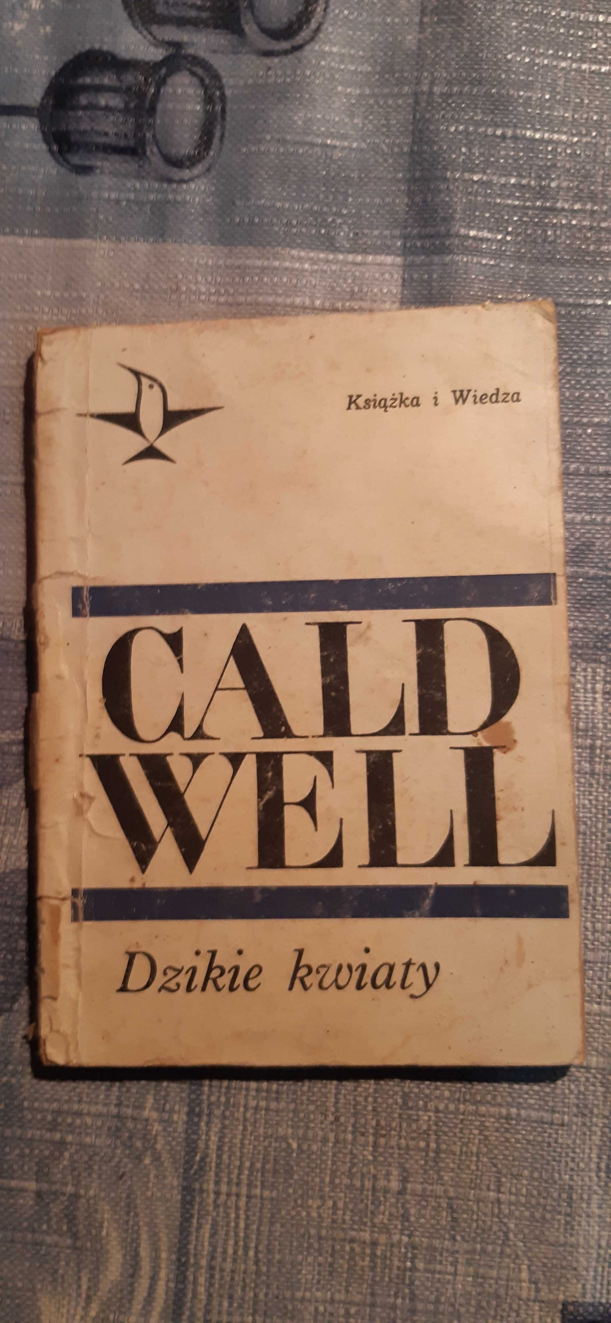 cald well dzikie kwiaty