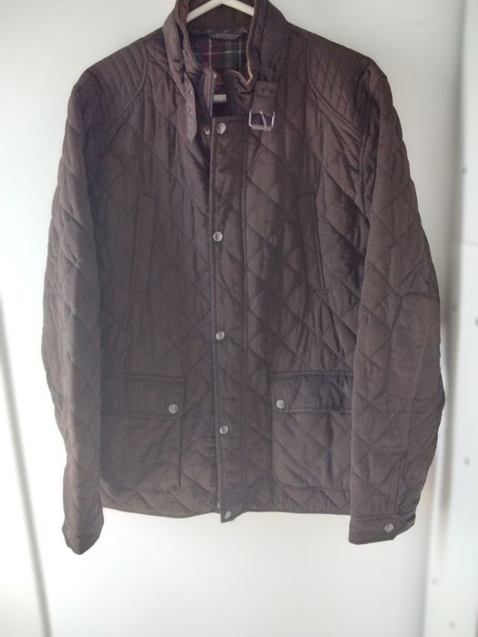 Quispo castanho forraco xadre