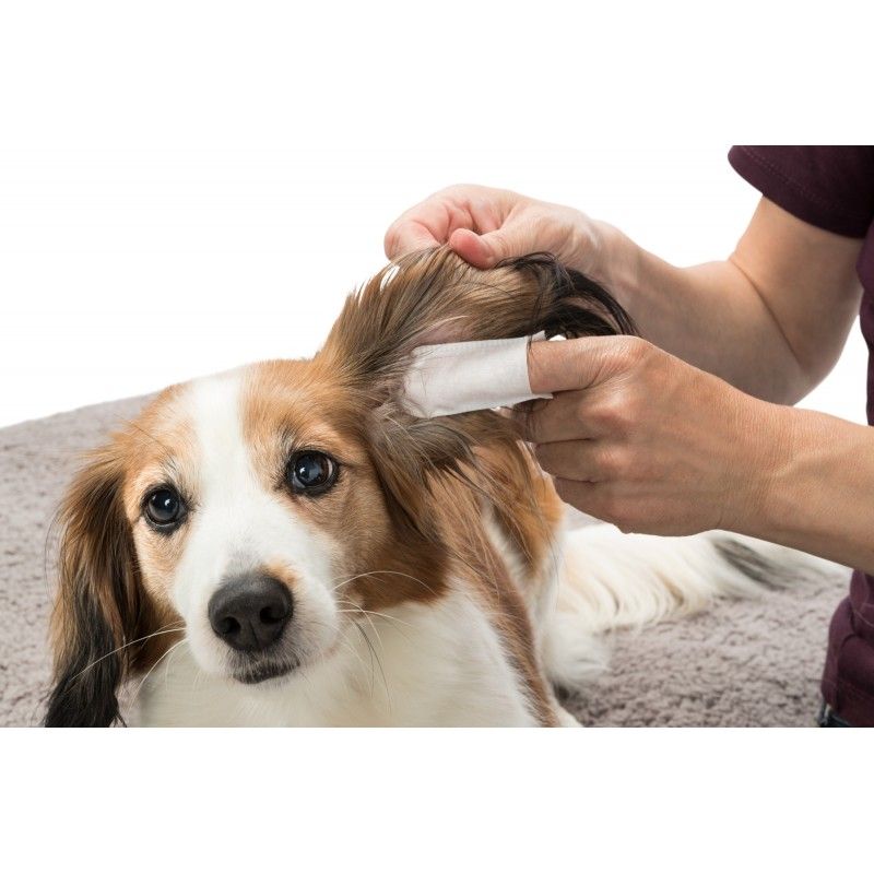 Ear Care Czyste uszy psa i kota - nakładki na palce, opakowanie 50 szt