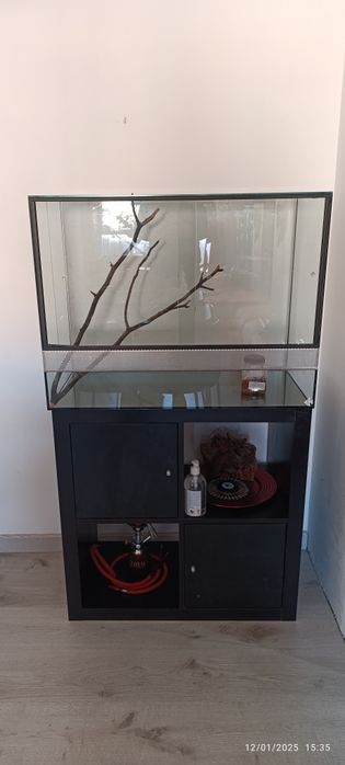 Terrário marca Scalare