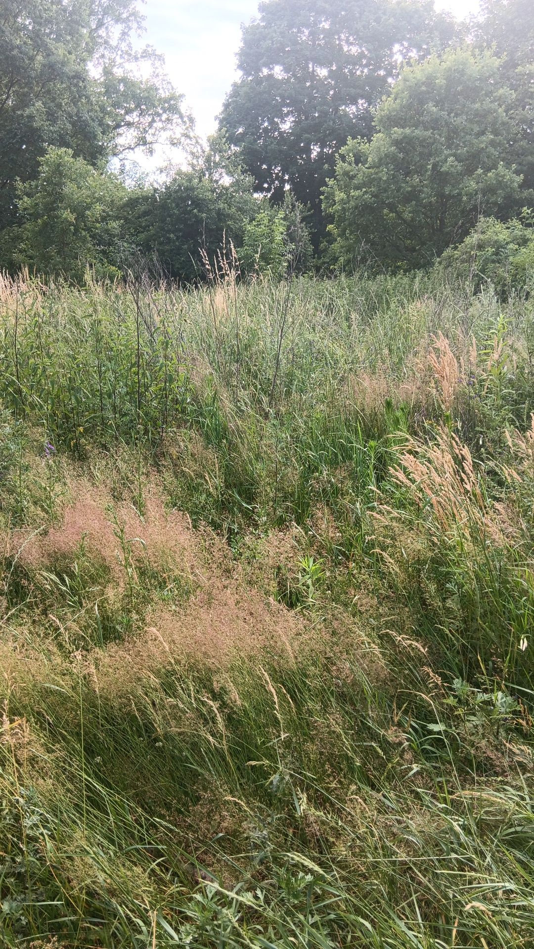 Sprzedam działkę