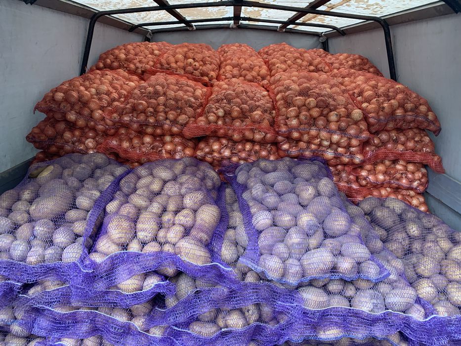 Продам картоплю картошку с доставкою під будинок 16гр від 200 кг-14 гр