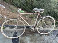 Bicicleta Antiga Celta