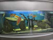 Akwarium 120cm/ 70