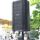 Coluna Bose F1 modelo 812