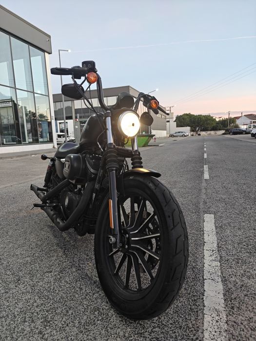 Harley Davidson Sportster 883 Iron