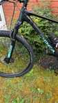 Bicicleta BTT Orbea 29 Alma - excelente estado