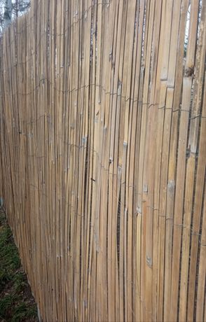Mata bambusowa, płot bambusowy, 10m, 2m wysokości