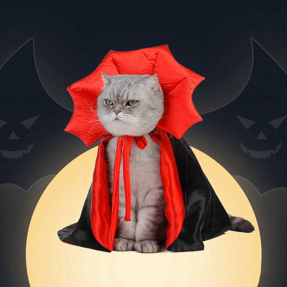 Halloween przebranie dla kota, przebranie dla psa wampir