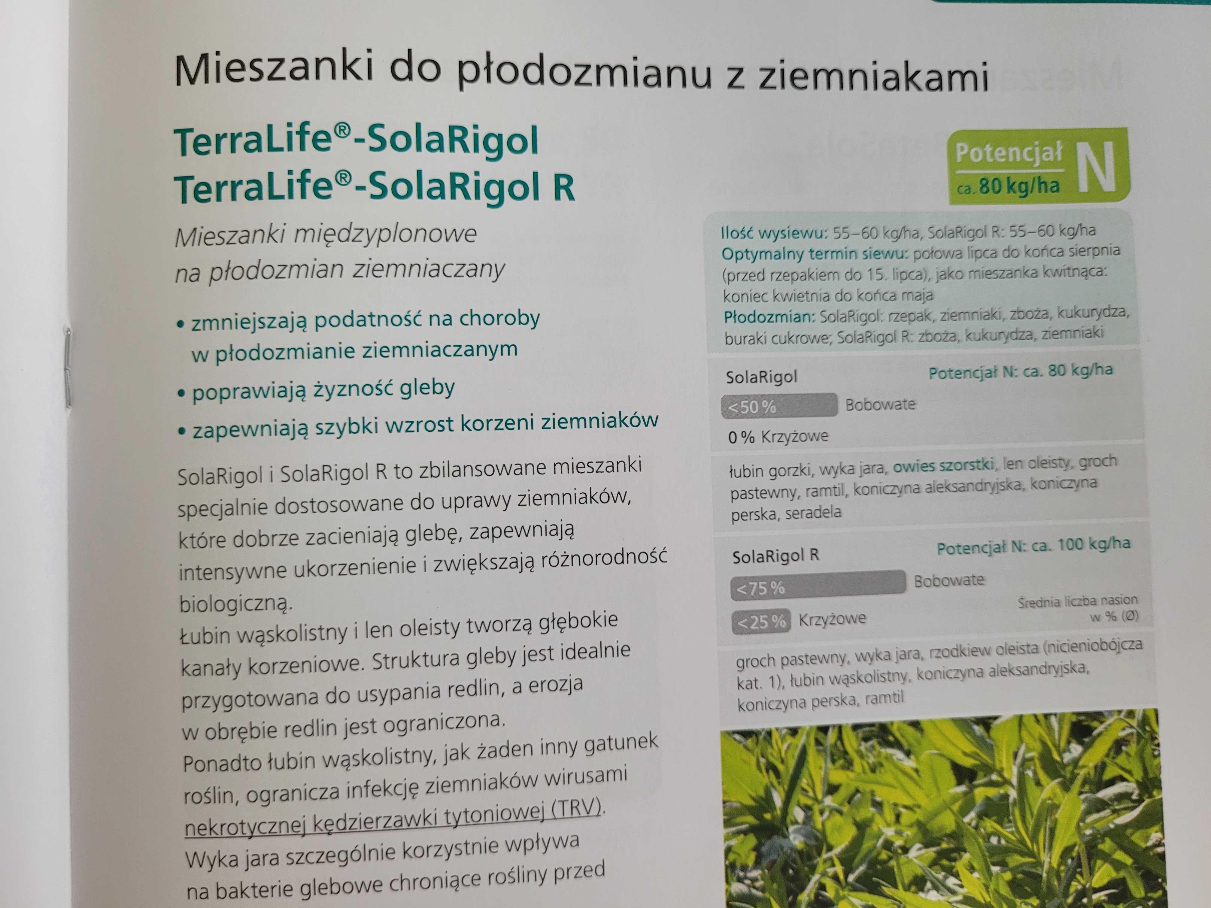 MIeszanka poplonowa DSV SolaRigol
