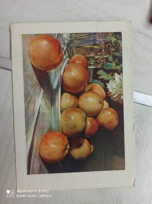 Открытки антиквариат фрукты.