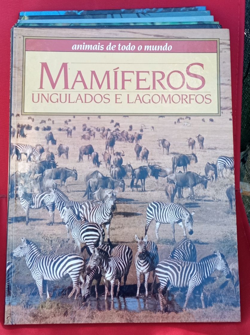 Vendo livros de coleção