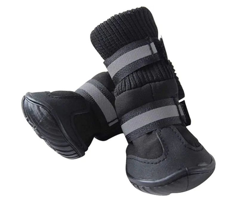 Buty dla psa rasy średniej