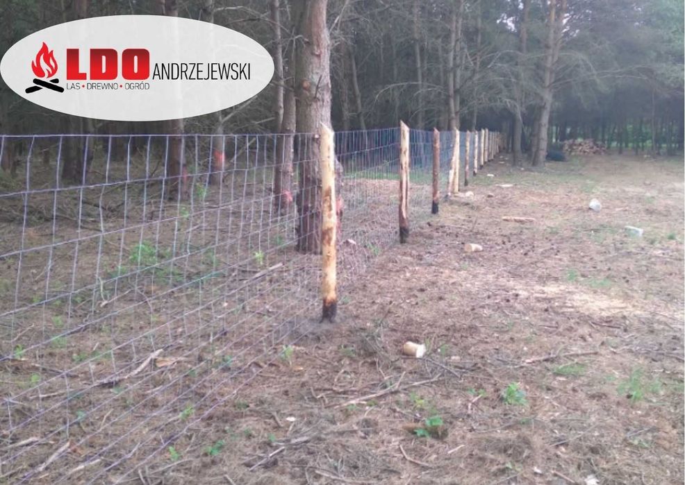 Płot budowlany ogrodzenia tymczasowe siatka leśna