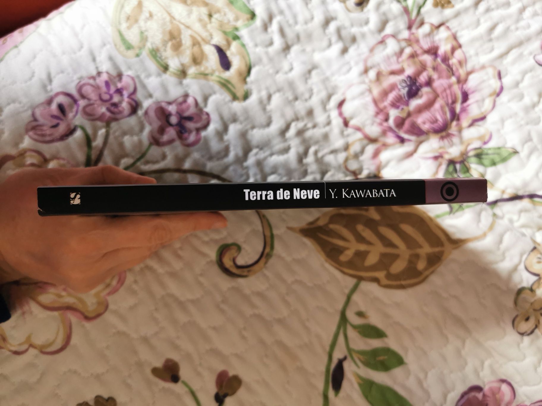 Terra de Neve de Yasunari Kawabata