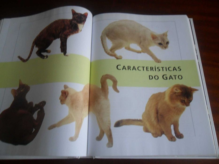 "O Livro Gigante do Gato" de Vários - 1ª Edição de 2002