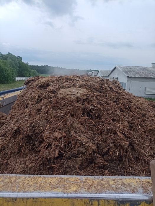 Obornik bydlecy / kurzak transport oraz rozrzucanie