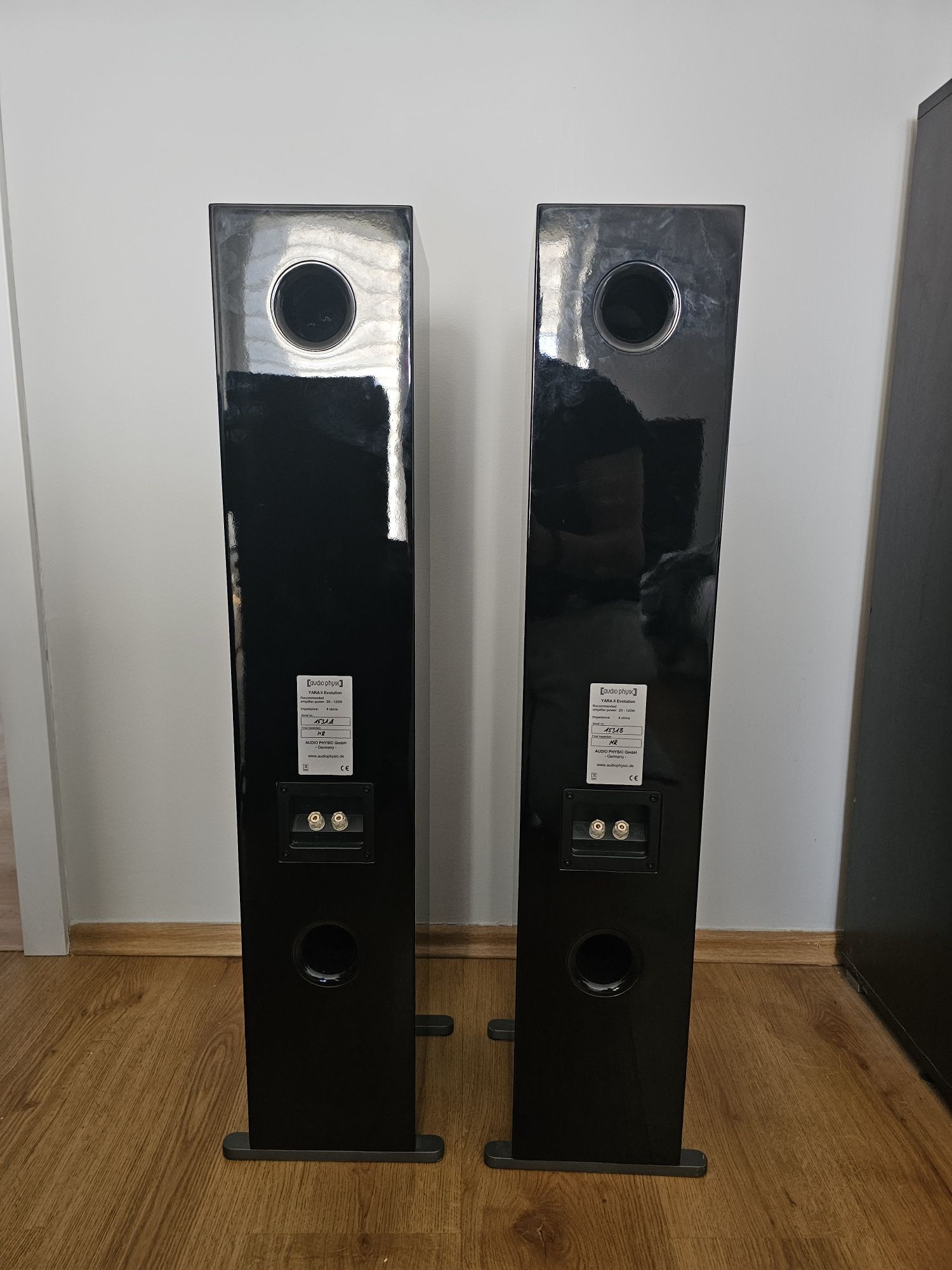 Głośniki Audio Physic Yara Evolution II