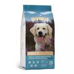 Divinus Adult dla psów dorosłych 20kg Divinus
