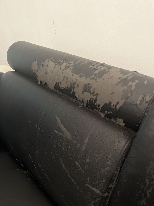 Oddam kanape za DARMO!