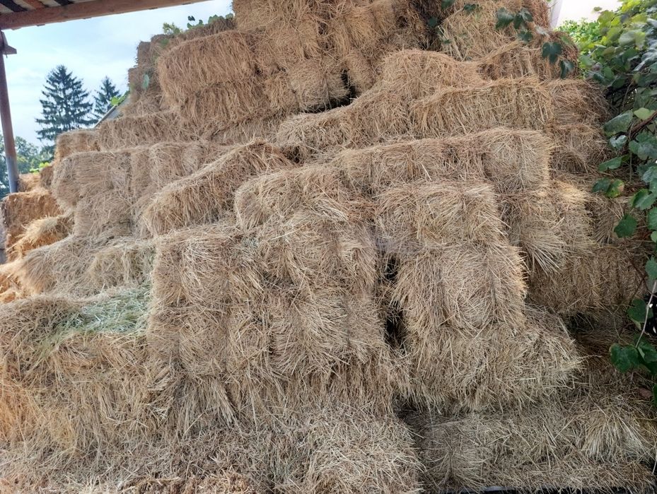 Продам сіно в тюках