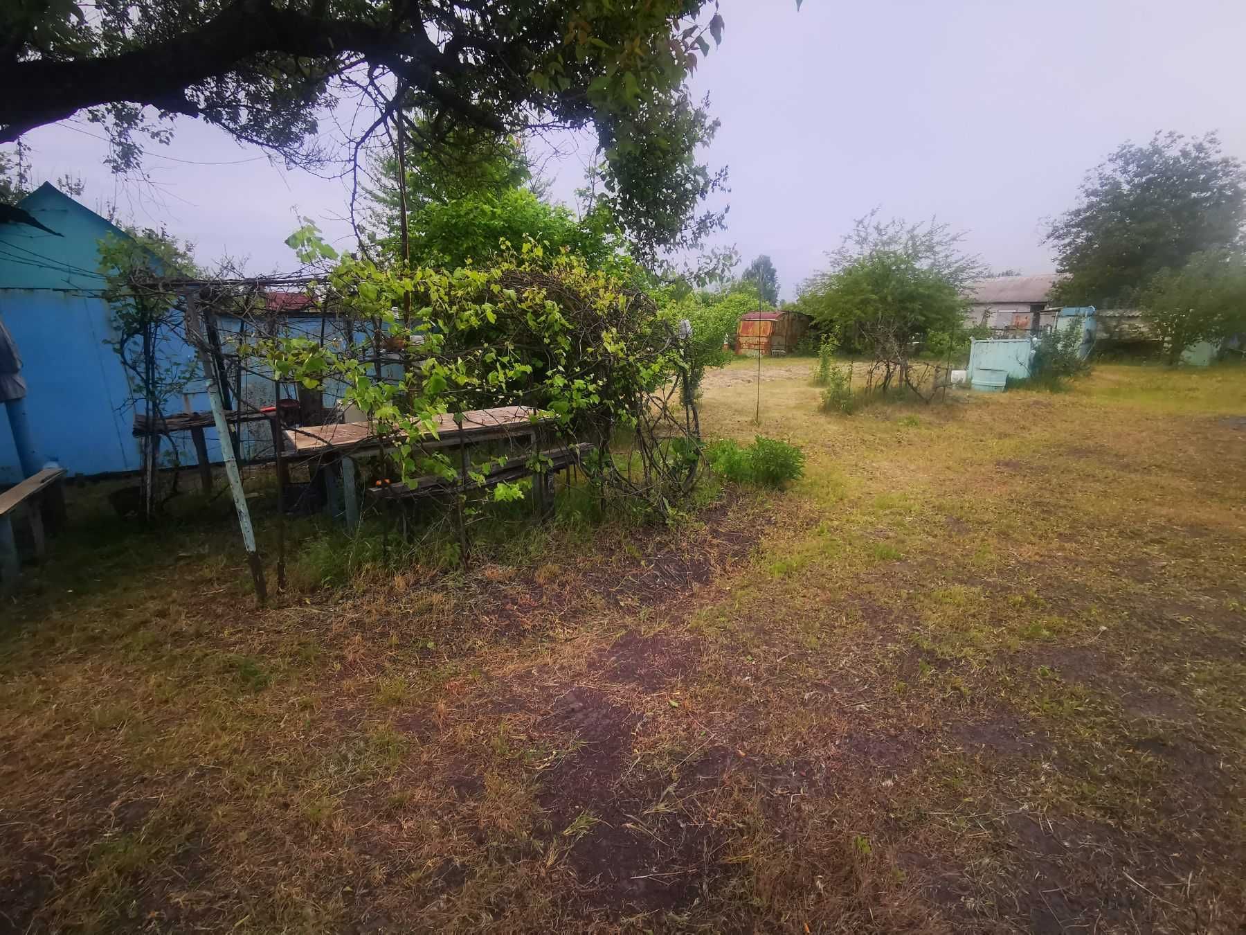 Продам ділянку в садовому товаристві Обухівка