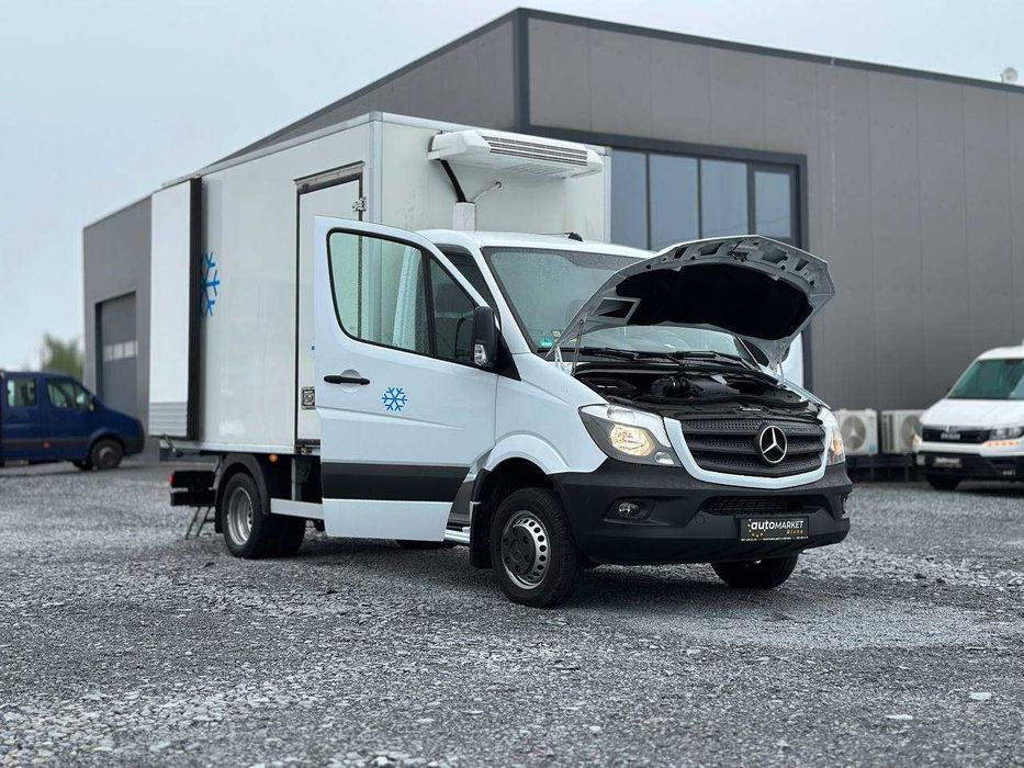 Mercedes-Benz Sprinter 2016p. Мясник
