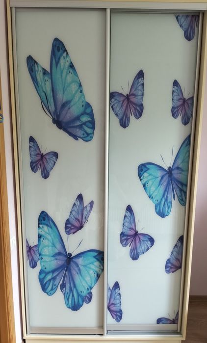 Розсувні двері для шафи купе