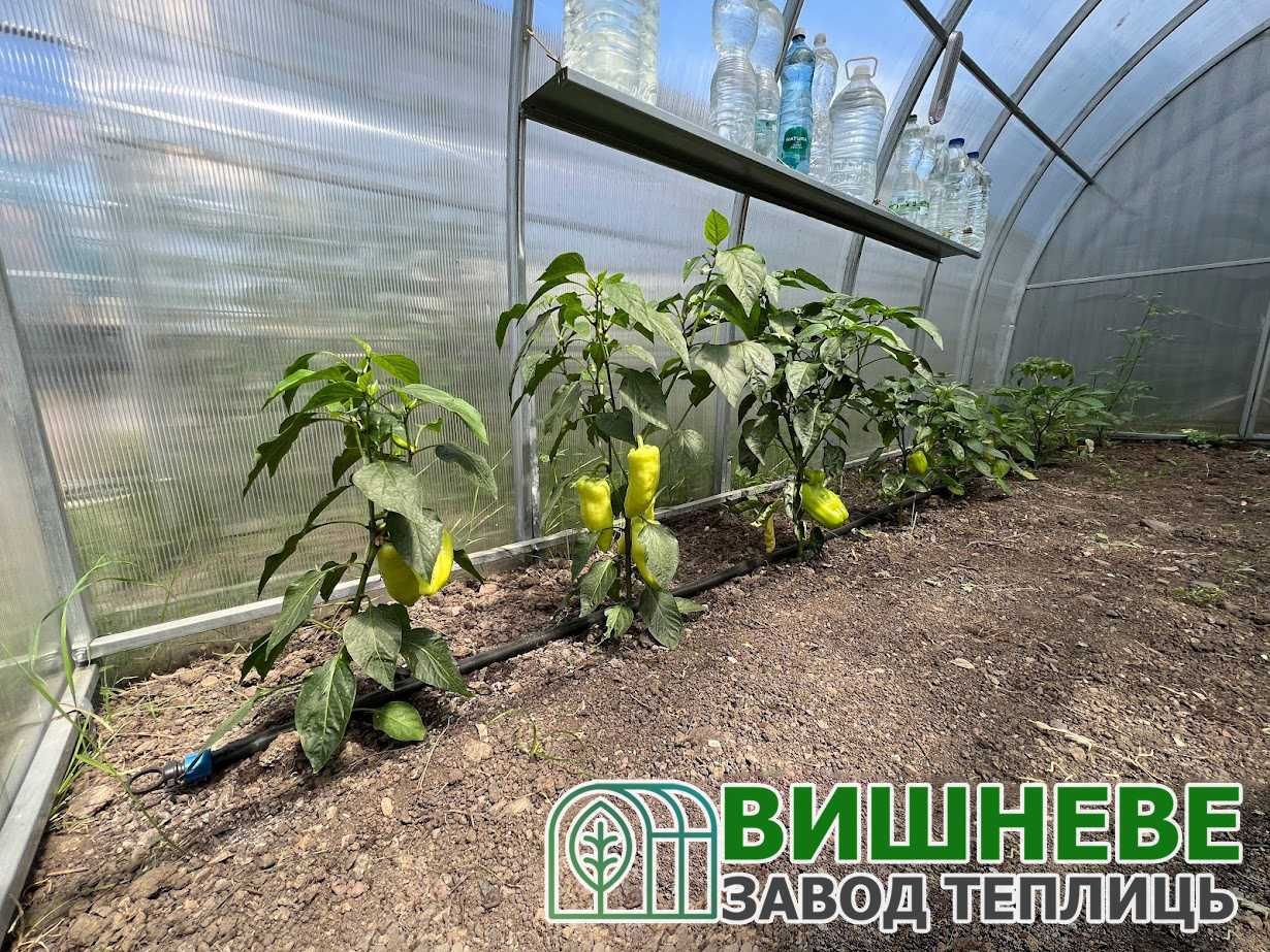 Теплиця під полікарбонат та плівку Бровари парник 3х4,3х6,3х8,3х10