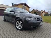 Audi A3 8P 2004 rok