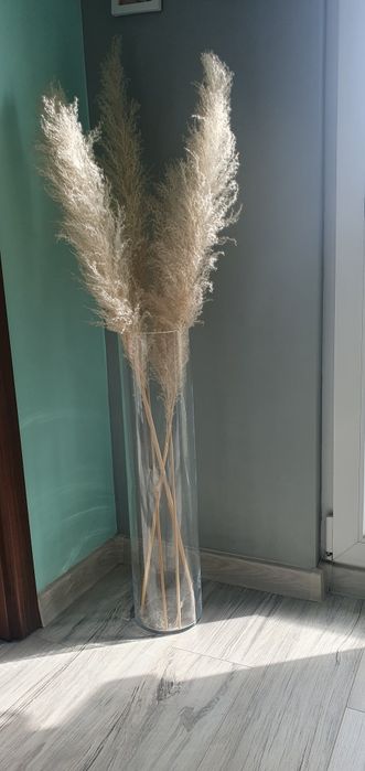 Naturalna trawa pampasowa beżowa