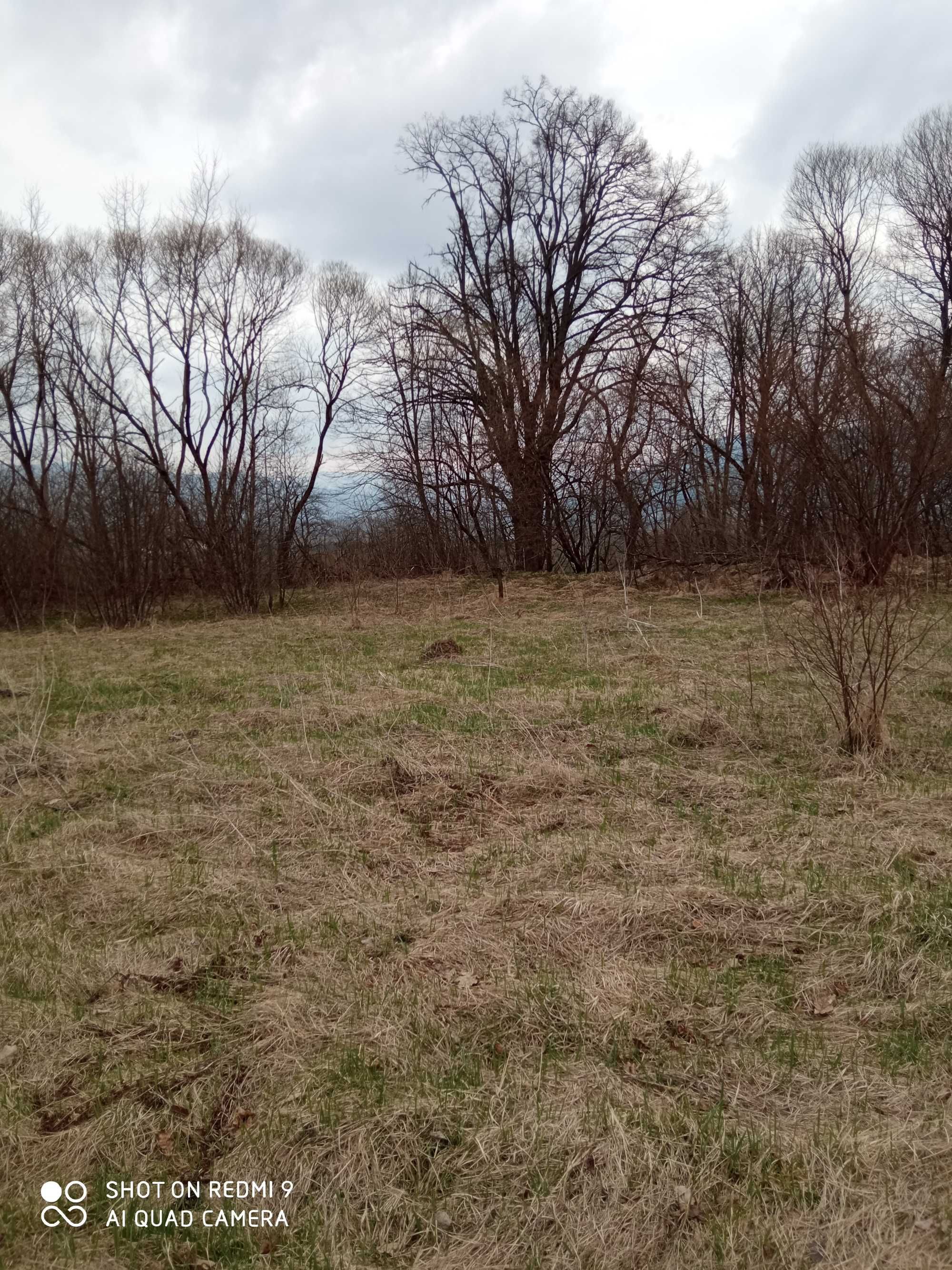 Земельна ділянка у Карпатах