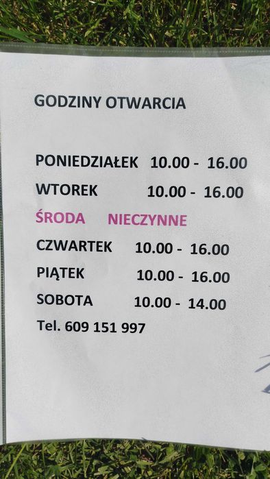 tuja szmaragd 160cm (thuja smaragd)