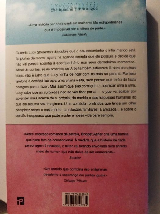 Livro, As namoradas do meu Marido