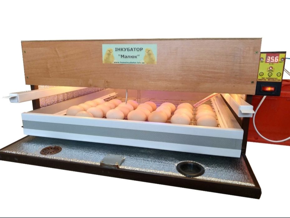 Инкубатор Малюк 70яиц куриных