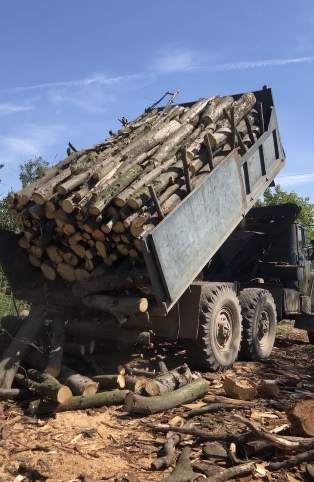 Дрова ДУБ,ГРАБ,АКАЦІЯ.  с доставкою!!!  КИЇВ.