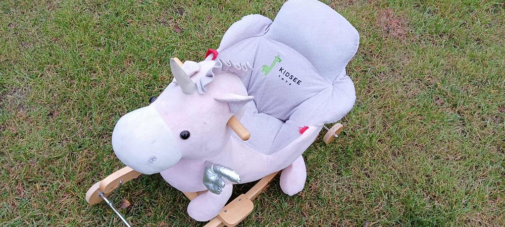 Sprzedam konika bujak jezdzic