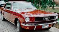 Auto do ślubu wesele klasyk Ford Mustang 1966 r. Wolne terminy 2024 r.